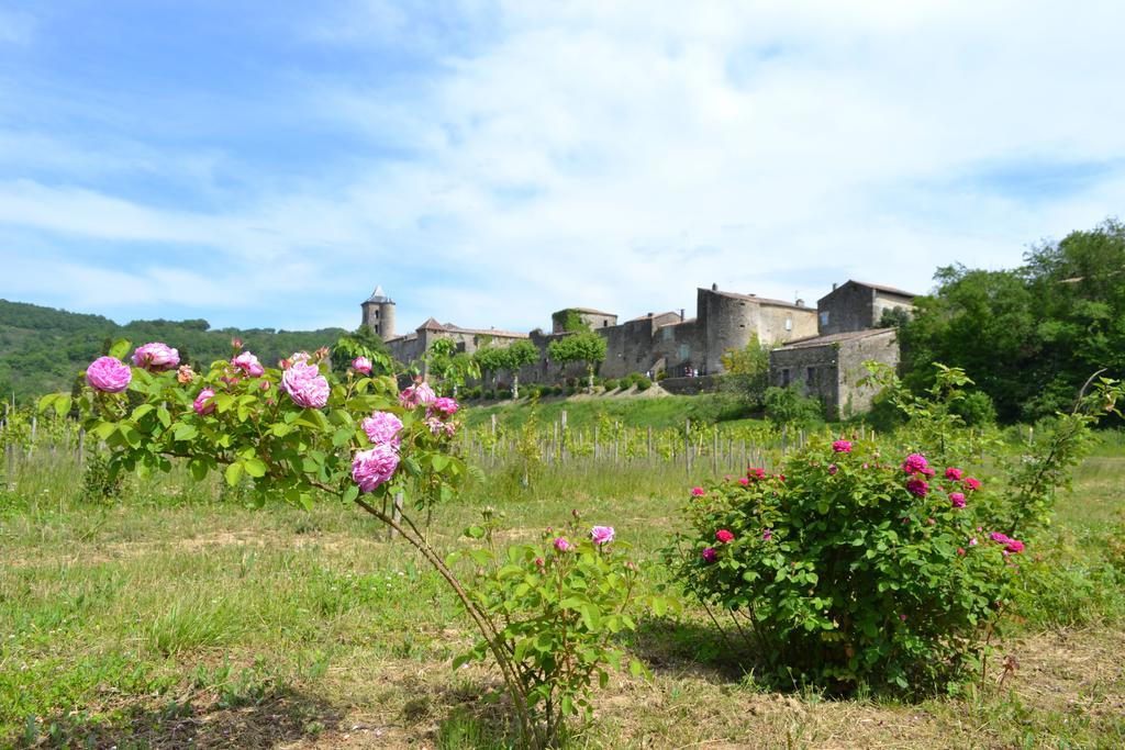 Chambres D'Hotes Domaine Du Hameau Baylesse Saint-Jean-d'Aigues-Vives Ngoại thất bức ảnh