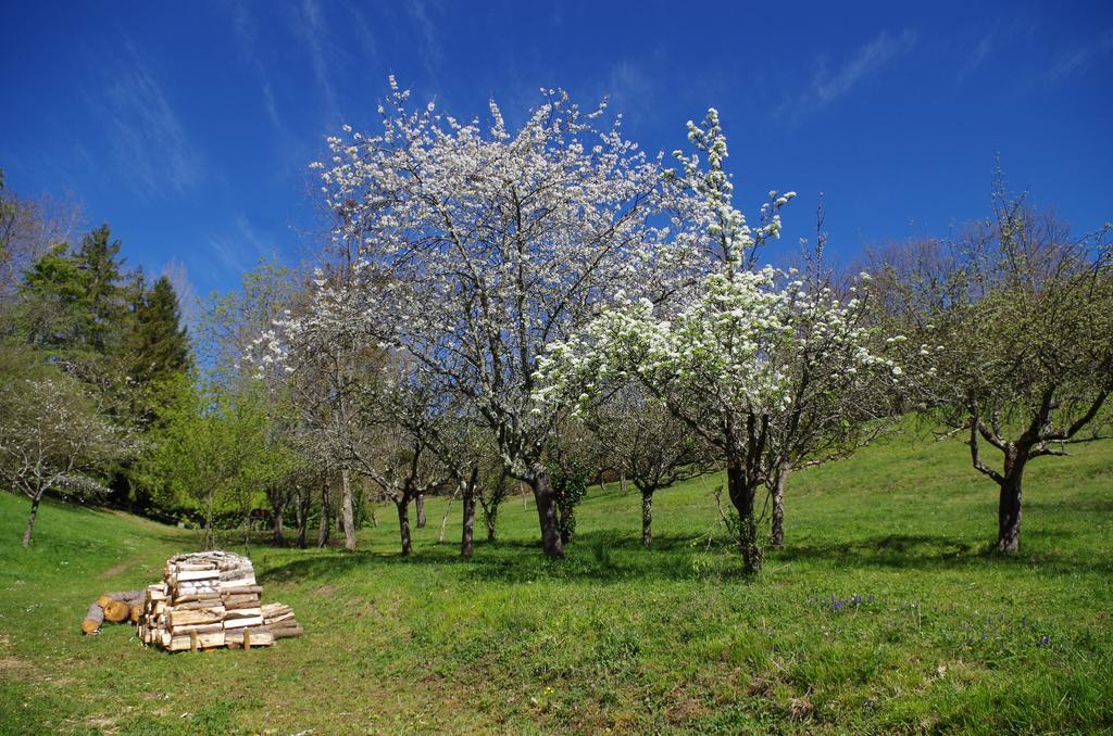 Chambres D'Hotes Domaine Du Hameau Baylesse Saint-Jean-d'Aigues-Vives Ngoại thất bức ảnh